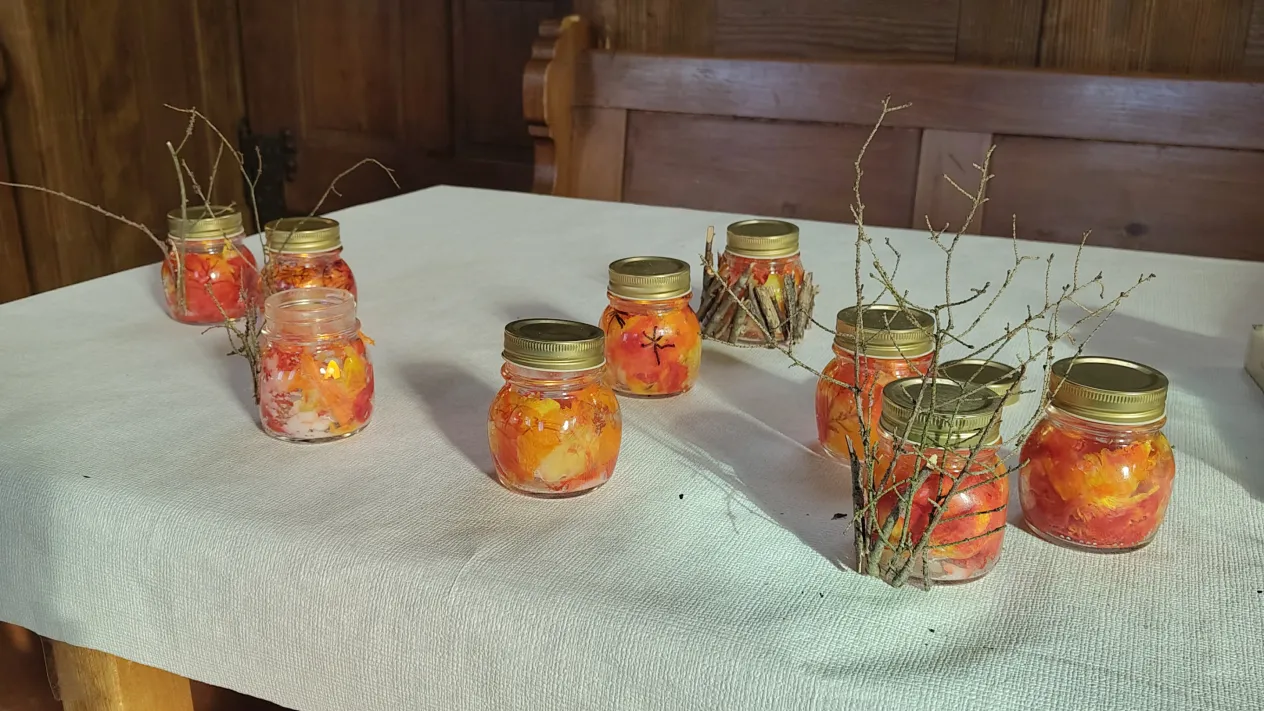 IMG_20260207_Kolibri Benken 02_2026 (Foto: Mirjam Toggenburger) IMG_20260207_Kolibri Benken 02_2026 (Foto: Mirjam Toggenburger)