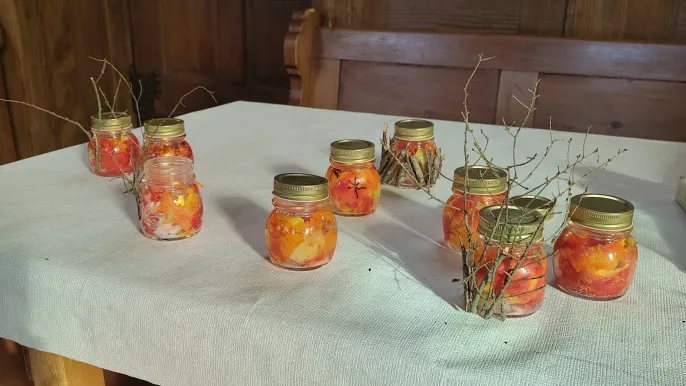 IMG_20260207_Kolibri Benken 02_2026 (Foto: Mirjam Toggenburger) IMG_20260207_Kolibri Benken 02_2026 (Foto: Mirjam Toggenburger)