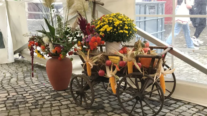 Blumen2 (Foto: Werner Schweizer) Blumen2: Chilbi-Gottesdienst in Rheinau (Foto: Werner Schweizer)