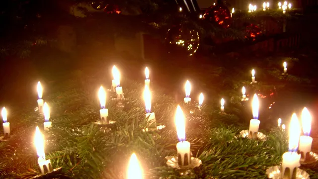 weihnacht-christbaum (4) (Foto: Frank Lehmann) weihnacht-christbaum (4) (Foto: Frank Lehmann)